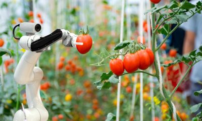 5 Important Food Tech Developments in 2022