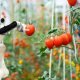 5 Important Food Tech Developments in 2022