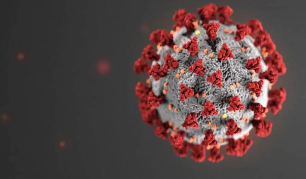 What Is Omicron XE? And Its Variant Symptoms