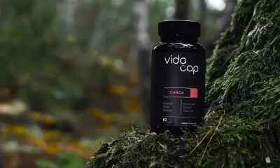 Chaga Mushroom Capsules