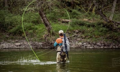 Top 4 Tips And Tricks For Beginners For Flying Fishing