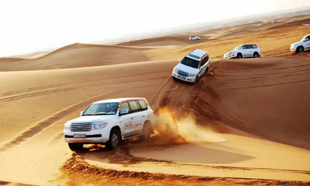 Desert Safari