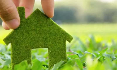 5 Ways to Make your Home Eco-friendly