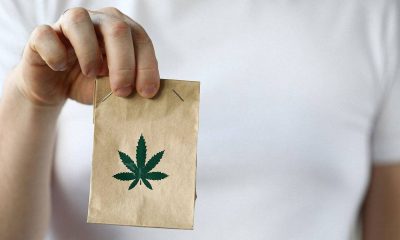 Information Regarding Online Purchases of Cannabis in 2022