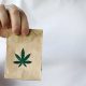 Information Regarding Online Purchases of Cannabis in 2022
