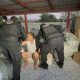 Chiang Rai Man Arrested for Smuggling Bt500 Million in Drug Money into Myanmar