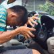 Mandatory Blood Tests Proposed for Drunk Drivers in Thailand