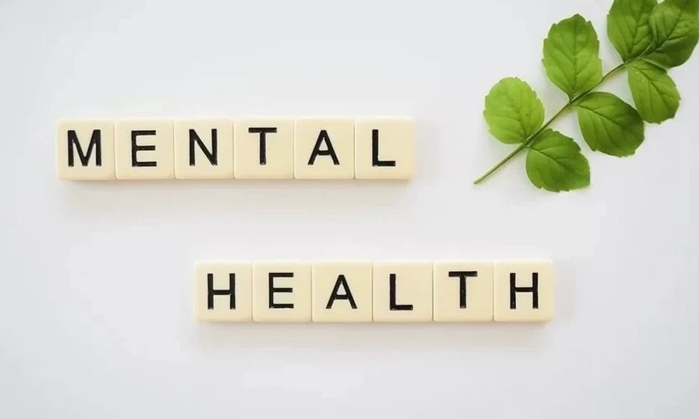 Mental Health Case Management System