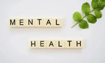 Mental Health Case Management System