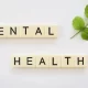 Mental Health Case Management System