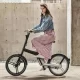 Shaft Drive E bike