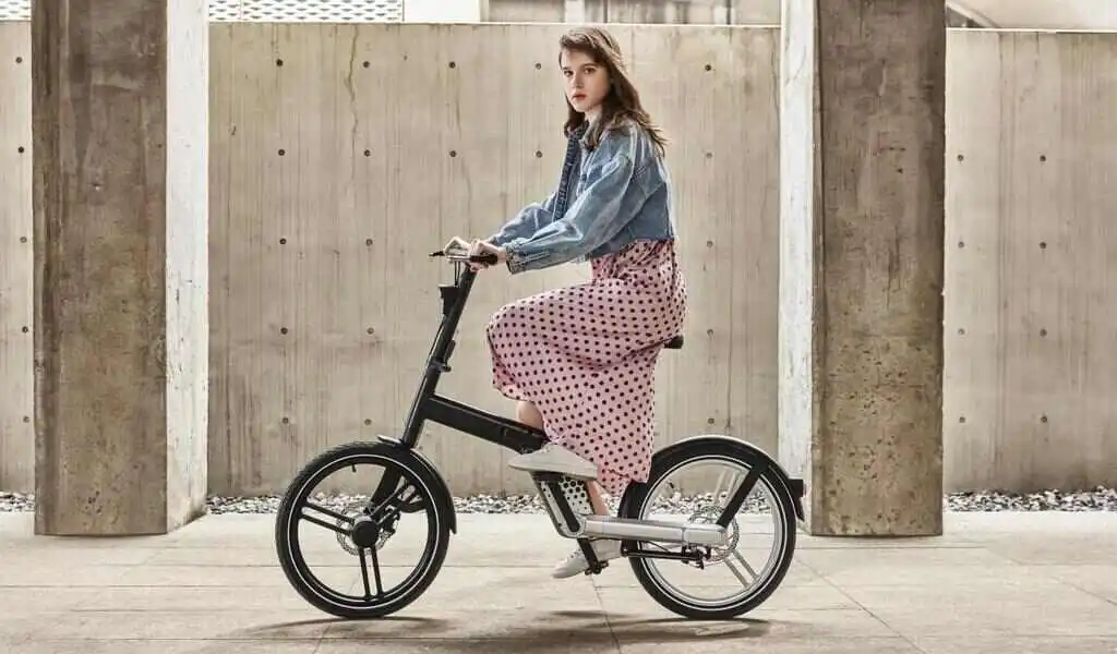 Shaft Drive E bike