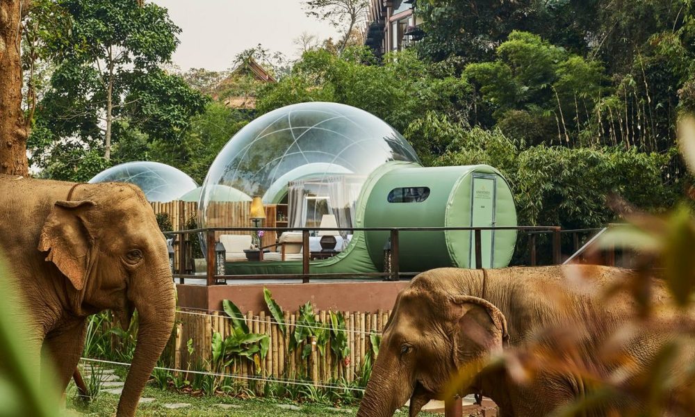 Chiang Rai's Top 5 Hotels Will Make Your Vacation Complete In 2022