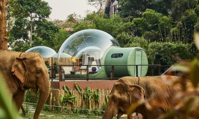 Chiang Rai's Top 5 Hotels Will Make Your Vacation Complete In 2022