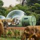 Chiang Rai's Top 5 Hotels Will Make Your Vacation Complete In 2022