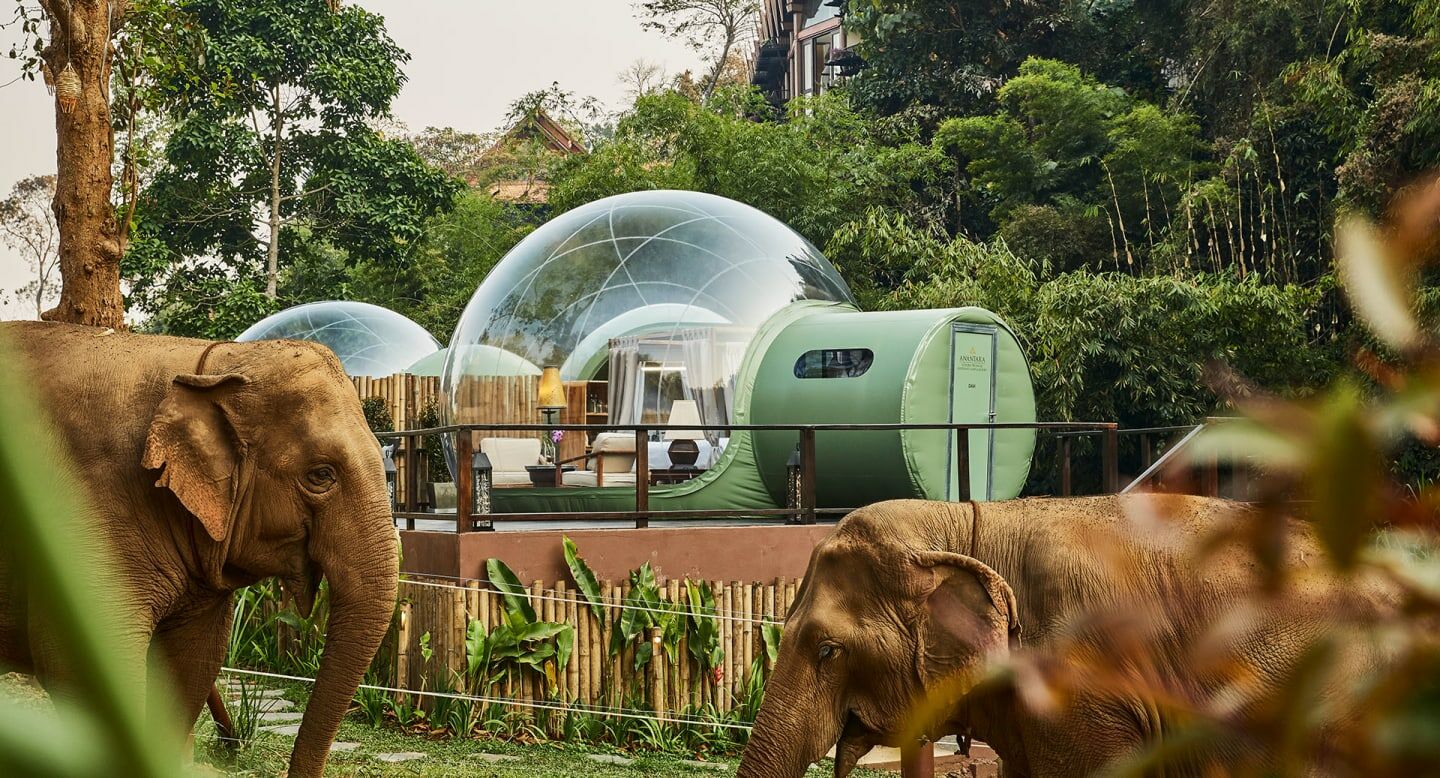 Chiang Rai's Top 5 Hotels Will Make Your Vacation Complete In 2022