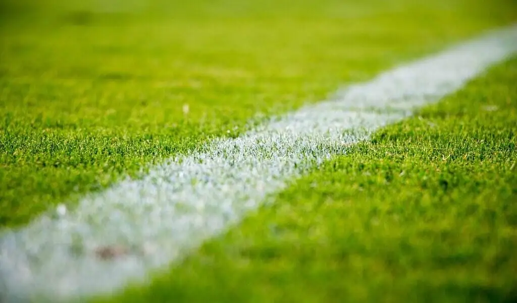 Sports Promotions