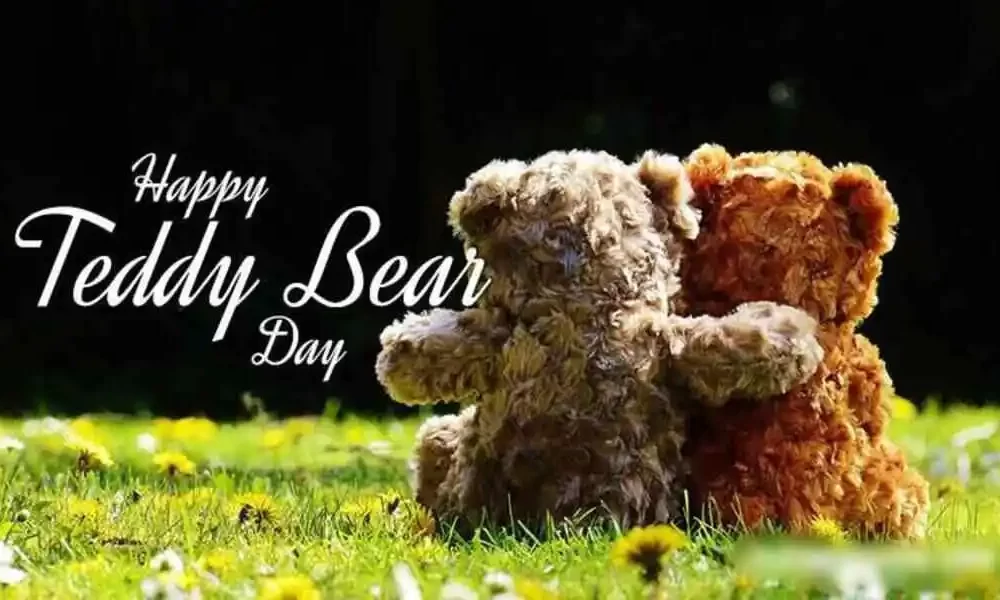 teddy bear gift