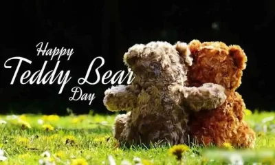 teddy bear gift