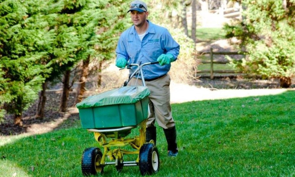 Your Mini Guide to Professional Lawn Care is Now at Your Fingertips!