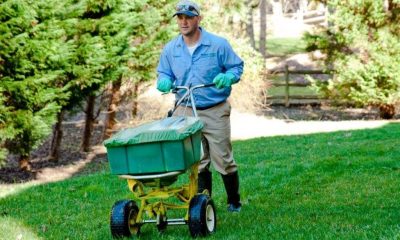 Your Mini Guide to Professional Lawn Care is Now at Your Fingertips!