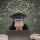 College Major