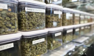 Marijuana Dispensary
