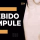 Nebido Ampule