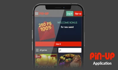 Features of the Pin Up Gaming Establishment