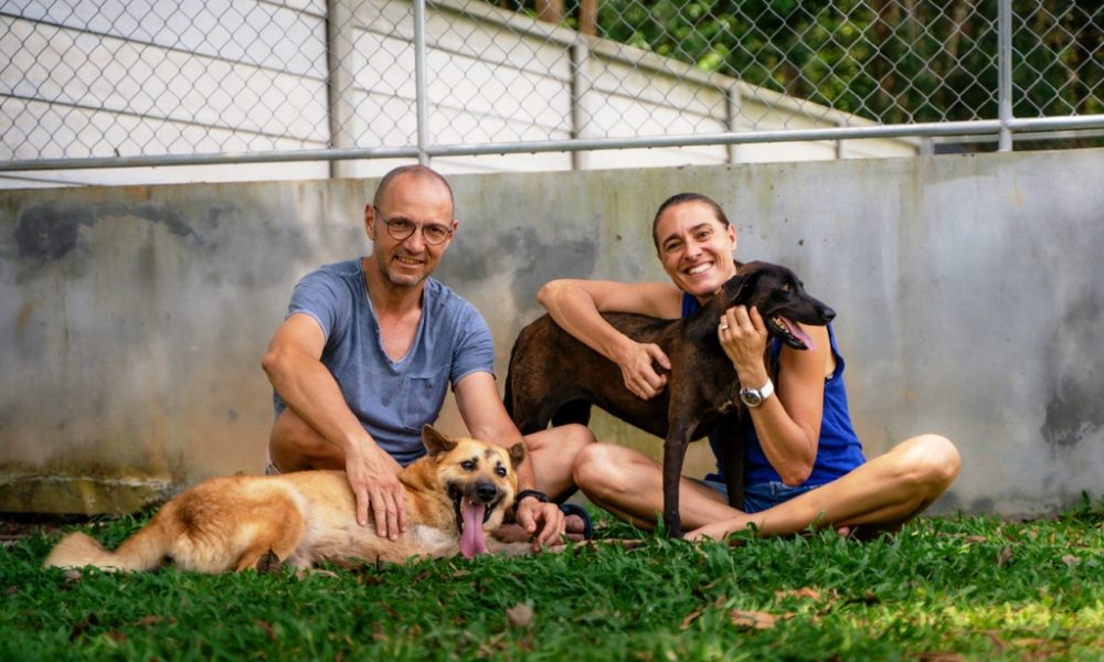 Soi Dog Foundation Calls for Tougher Enforcement of Dog and Cat Breeding Farms Welfare Laws in Thailand