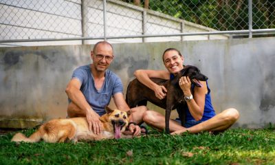 Soi Dog Foundation Calls for Tougher Enforcement of Dog and Cat Breeding Farms Welfare Laws in Thailand