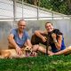 Soi Dog Foundation Calls for Tougher Enforcement of Dog and Cat Breeding Farms Welfare Laws in Thailand