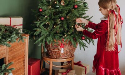 The 10 Best Festive Christmas Tree Collar Ideas for 2022