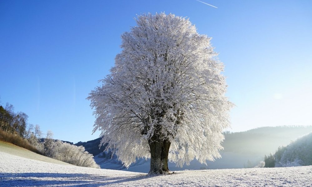 Winter Seasonal Affective Disorder