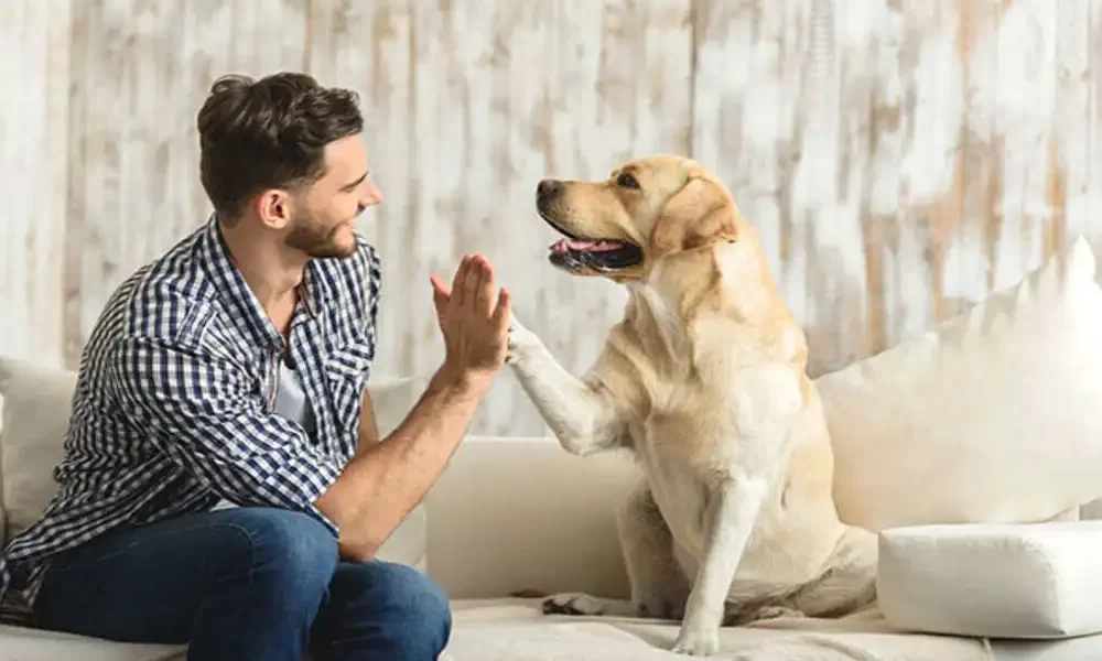 How Can I Bond With My Dog?