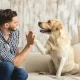 How Can I Bond With My Dog?