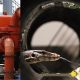 Monitor Lizard Blamed for Widespread Flooding in Bangkok