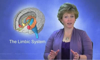 limbic Retraining