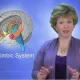 limbic Retraining
