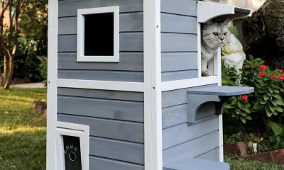 The Most Amazing DIY Cat Houses