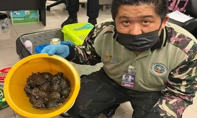 109 Live Wild Animals Found In Luggage At Airport In Thailand