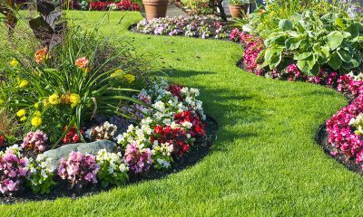5 Creative Garden Design Ideas For Your Home