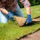 4 Tips on Laying Turf Like a Professional