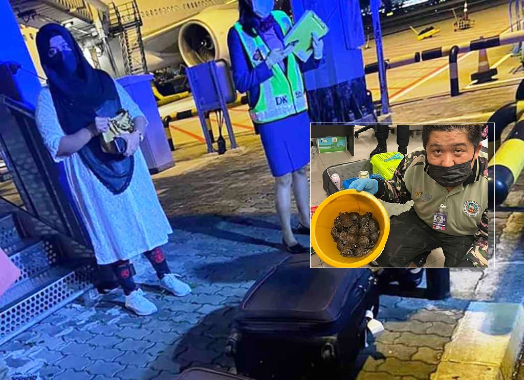 Indian Women Arrested With 109 Live Wild Animals in Luggage