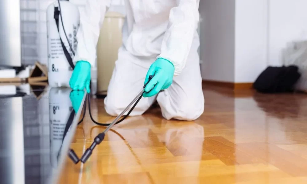 5 Reasons You Need a Pest Control For Your Property