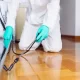 5 Reasons You Need a Pest Control For Your Property