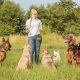 5 Top Reasons For a Refresher Dog Training Course