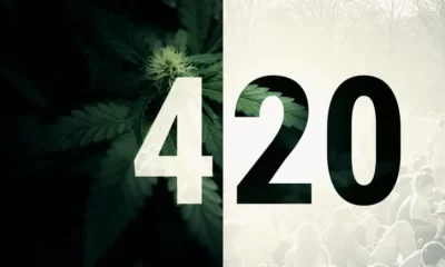 Guidelines for First-Time 420 Weed User