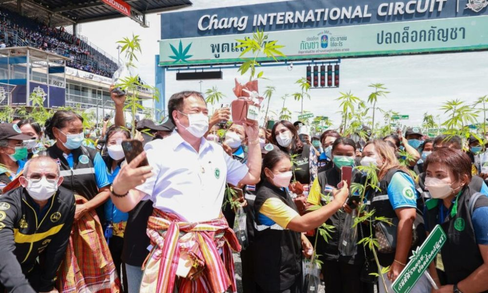 Thailand Opens One-Stop Cannabis Service Center