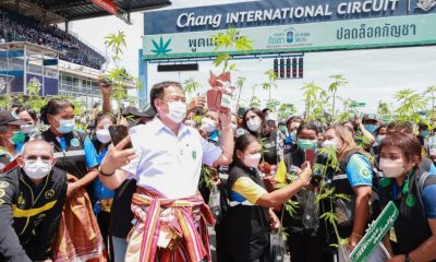 Thailand Opens One-Stop Cannabis Service Center